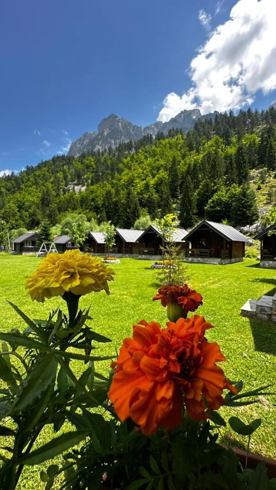 Ferienhaus Tradita *